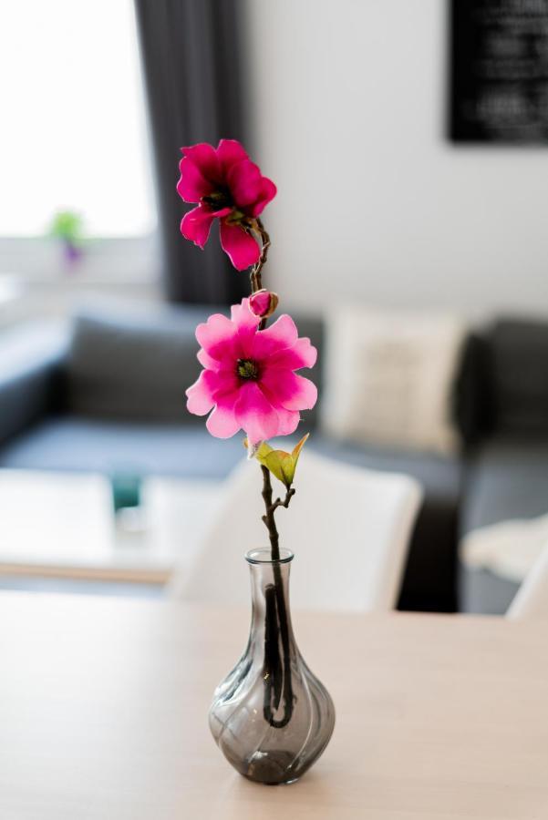 Apartment Helle In Top-lage, Hasselbachplatz - Altstadt, W-lan, 4 Schlafplaetze Magdeburg